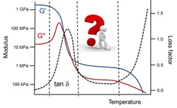 DMA Curve Interpretation
