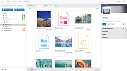 Digital asset management platform Libris now allows teams to store, organize, access and distribute every type of file, creating a seamless workflow from creation to publish.