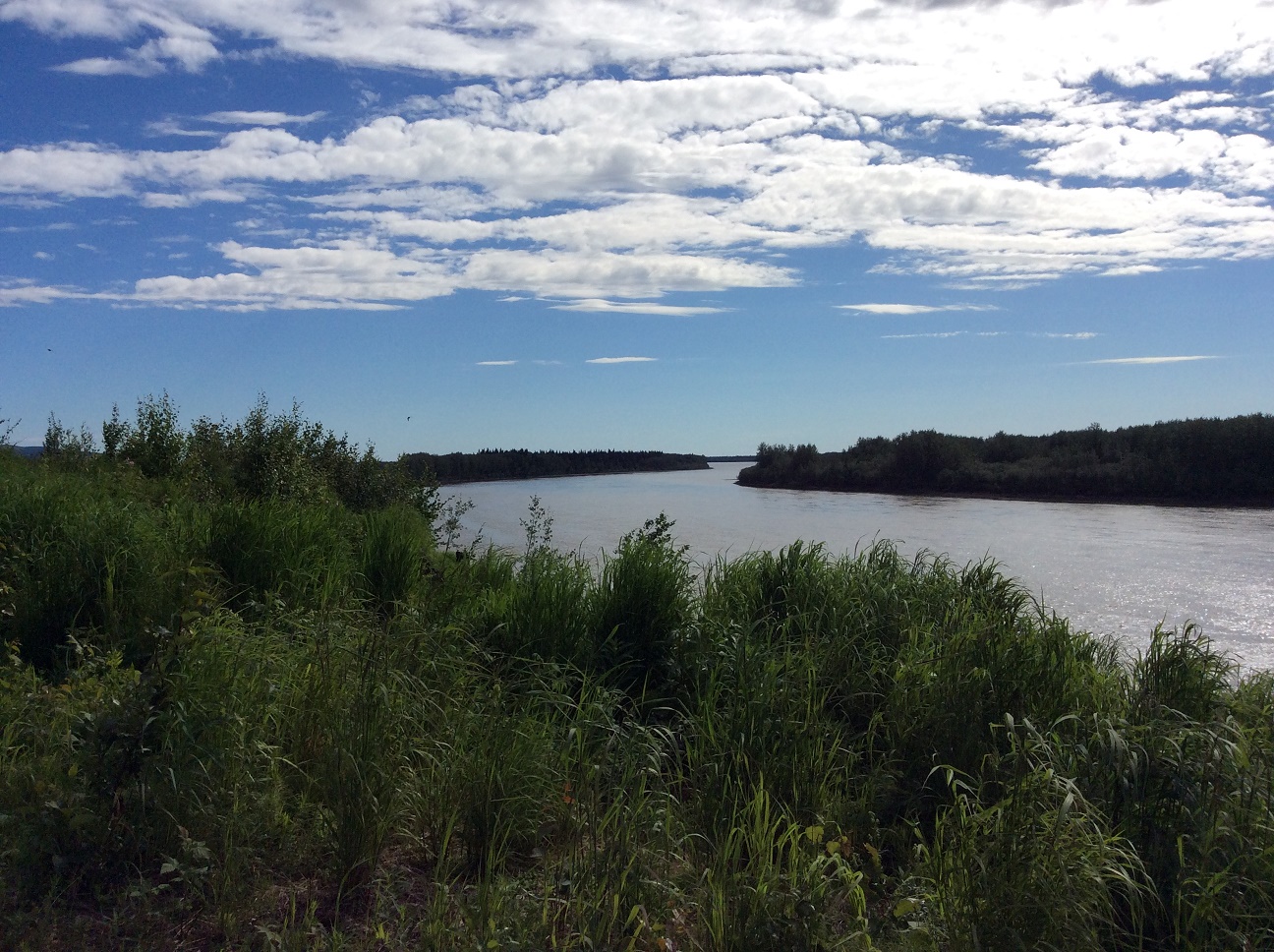 Alaska Realtor Viki Kaas Cooks at Kokrine Hills Bible Camp