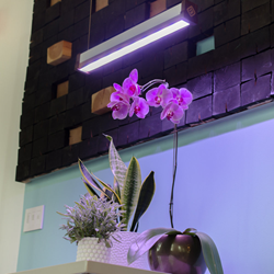 EQ 3-Band Light Fixture against wall