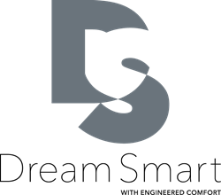 DreamSmart Logo