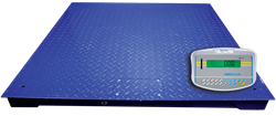 Adam Equipment's EC-type Approved PT Platform Scale with GK-M Indicator