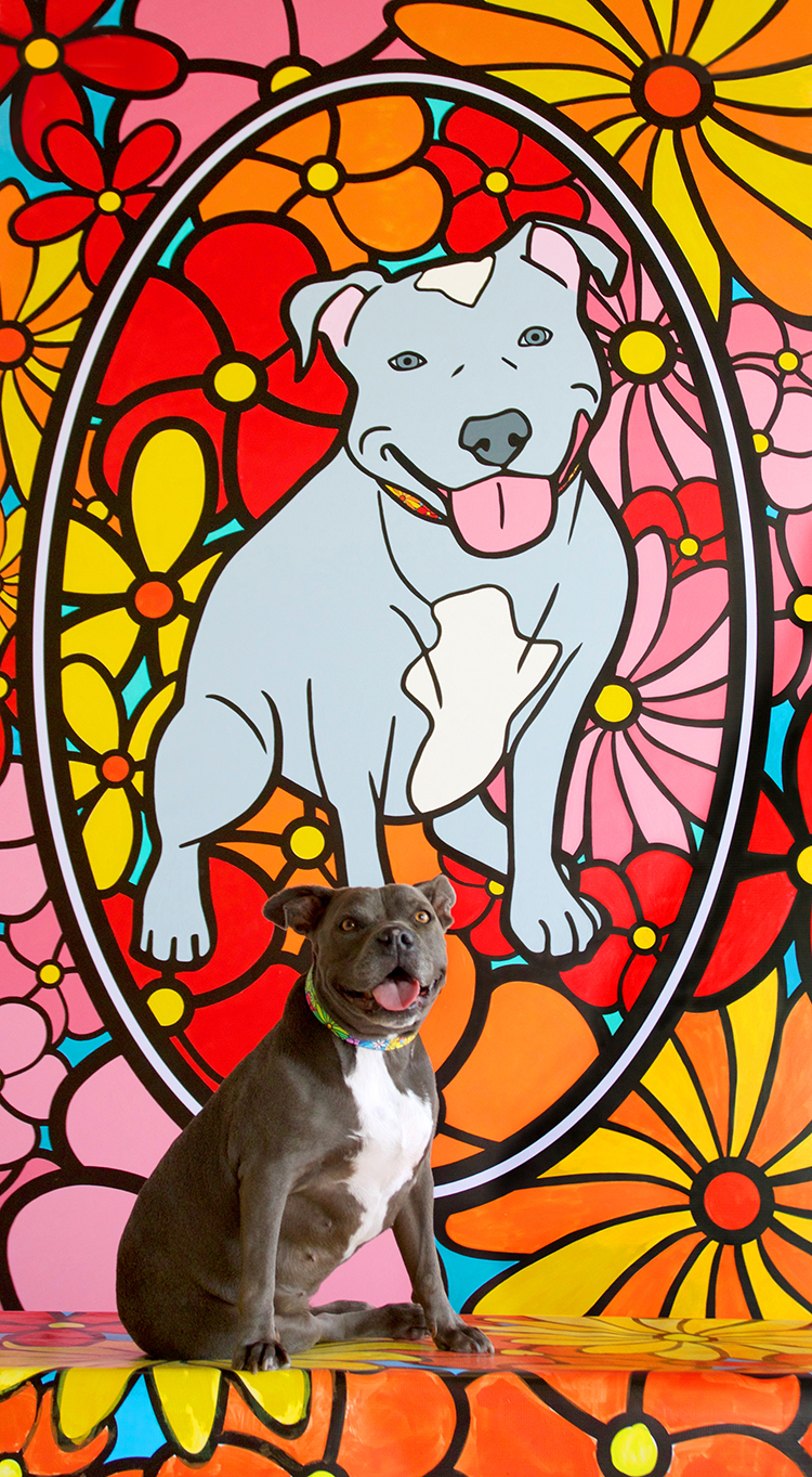 Los Angeles County's Agoura Animal Care Center Showcases New Colorful Look  as Portraits of Hope Begins to Introduce its Latest Makeovers for the  Shelters This Friday
