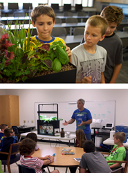 The Seafood Nutrition Partnership Seafood in Schools Aquaponics Pilot program is launching in 10 schools.