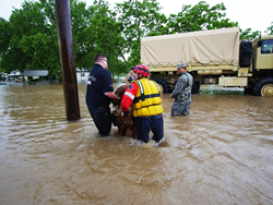 Hurricane Harvey, Red Cross, Imagine Learning