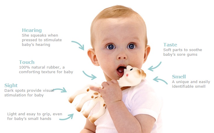 sophie la girafe teether sensory development toy