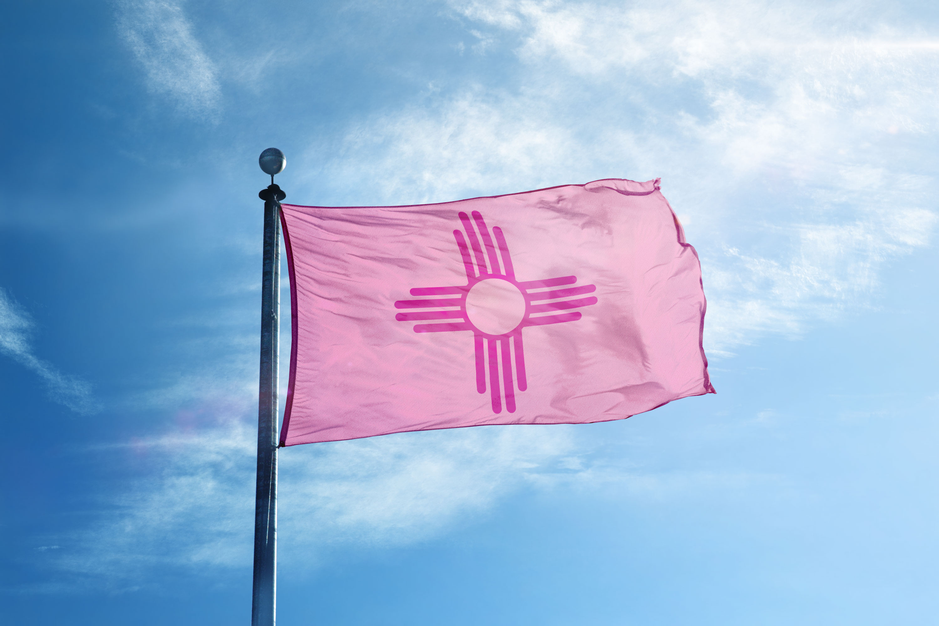 Pretty In Pink State Flags Make A Bold Statement Brave Magazine