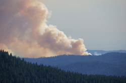 California Wildfires