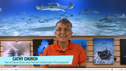 Cathy Church tutorial video on Vivid-Pix LAND & SEA SCUBA software