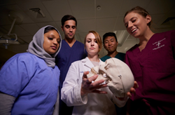 Dr. Beatrix Dudzik teaching anatomy to osteopathic medical students at LMU-DCOM