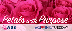 Petals with Purpose, Women's Dermatologic Society #GivingTuesday Camapaign