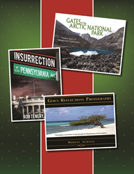 More Merry Reads from Brown Books Publishing Group  Image