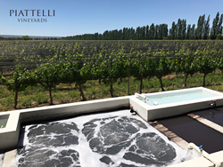 Piattelli Vineyards Cafayate