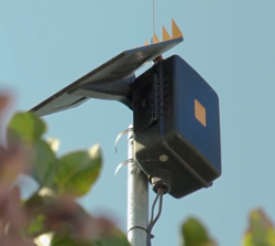 Field monitoring