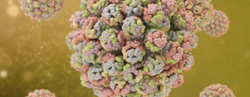 Polyomavirus are a family of tumour viruses that are known to cause brain and kidney damage in immunosuppressed individuals.