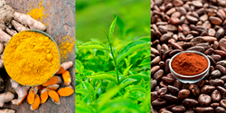 Turmeric vs green tea vs cocoa