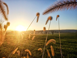 Franklin County Visitors Bureau highlights 18 Things to Do in 2018  Image