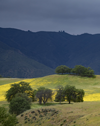 Carrizo Plain National Monument