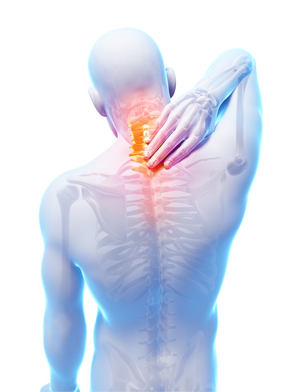 Learn How Chiropractic Care Can Treat Neck Pain -- Chiropractic Directory