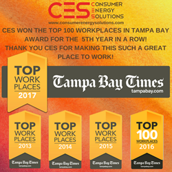 Consumer Energy Solutions