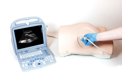 Paracentesis Trainer used with ultrasound