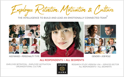 Cover image of BrandAura.com All Respondents Plus All Segments Report