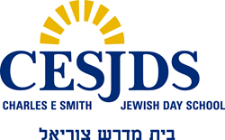 CESJDS logo