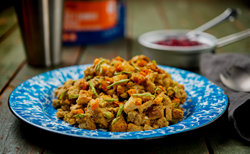 NEW Mountain House Homestyle Turkey Dinner Casserole