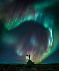 Photography by Elizabeth Gadd