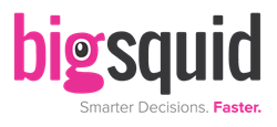 Big Squid, Inc.