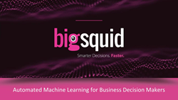 Big Squid, Inc.