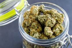 Jar of Medical Cannabis