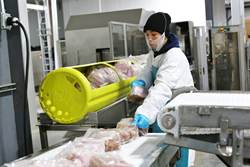 HPP fresh foods