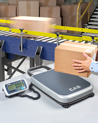 Alliance CAS PB Series Portable Bench Scale