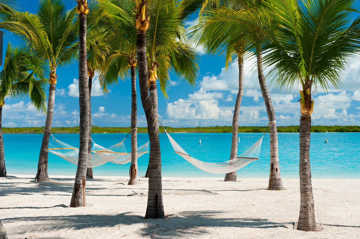 TripAdvisor Once Again Names Grace Bay Beach The World’s Best Beach—and ...