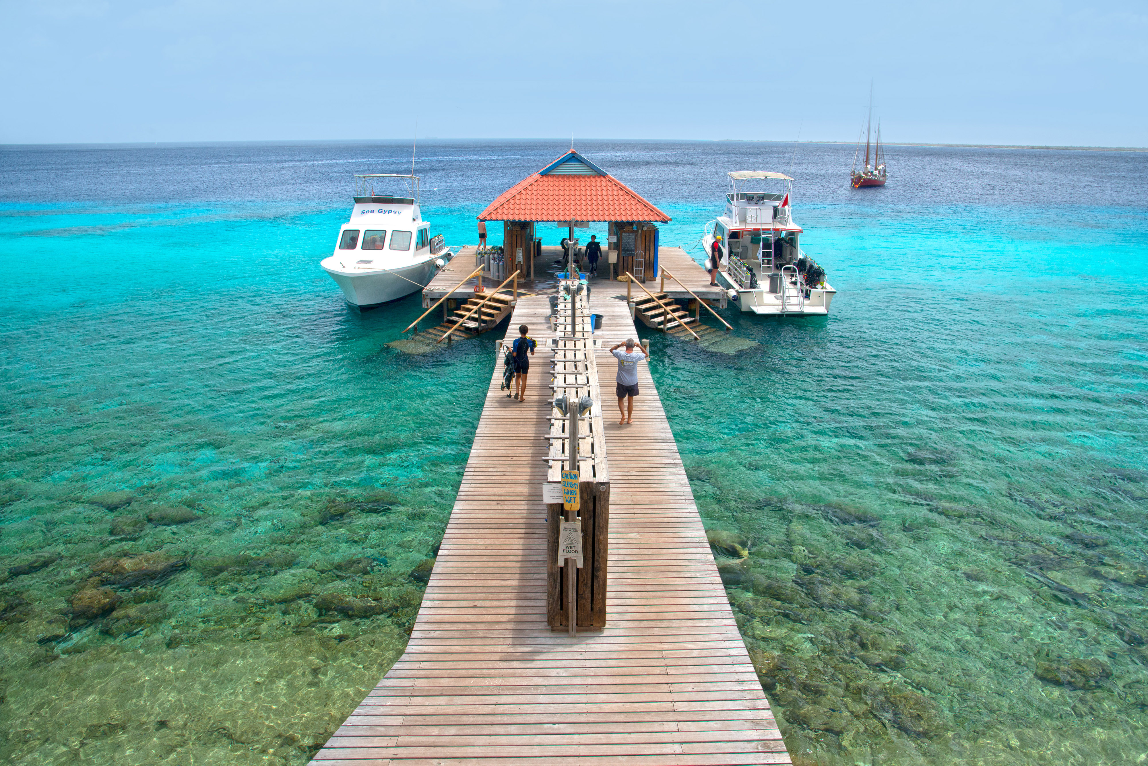 Divi Flamingo Beach Resort & Casino Announces YearRound Dive Specials