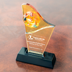 2017 Outstanding Partner of the Year Award.