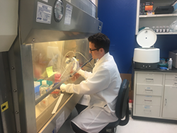 System Biosciences