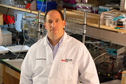 Glenn Gaudette, PhD, professor of biomedical engineering