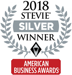 Silver STEVIE Award