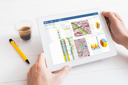 IVAAP 2.0 Enterprise Web Viewer for E&P