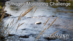 Pathogens Prize Competition