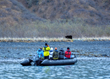 Cruise guests on Windstar's new Signature Expedition Zodiac tour spot a bear on shore in Kenai Fjords National Park.