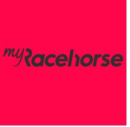 my racehorse