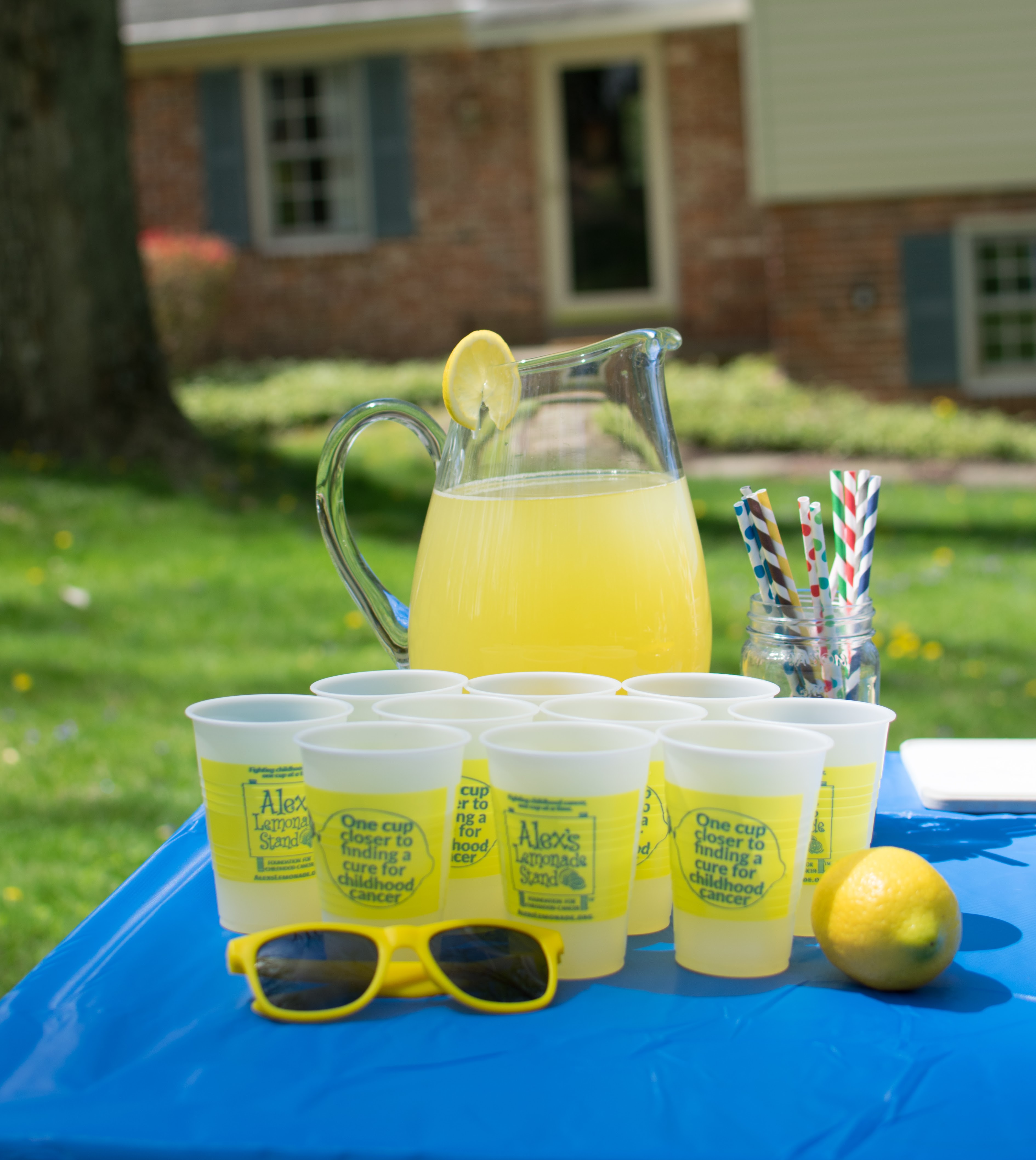 Cups of Lemonade Help Lead to a Cure during Lemonade Days, June 2-10