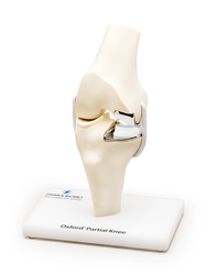 Oxford Partial Knee Model