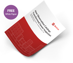 WinCan Releases White Paper Explaining Value of Observation Catalogs