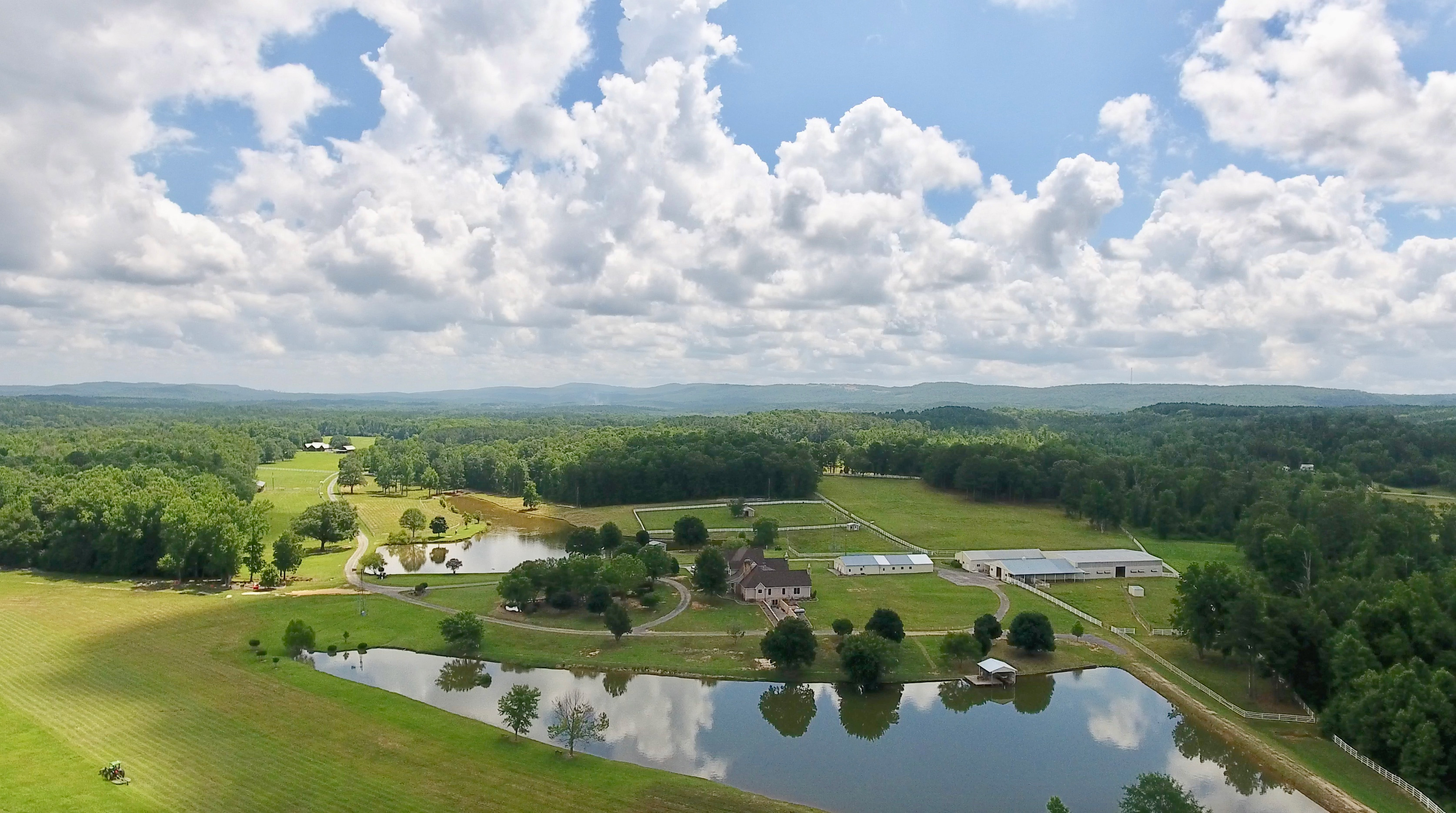 animals-at-this-alabama-farm-love-to-eat-donated-produce-this-is-alabama