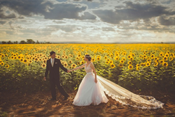 DJ Service Paso Robles