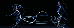 Andrew Schneider Nervous / System
